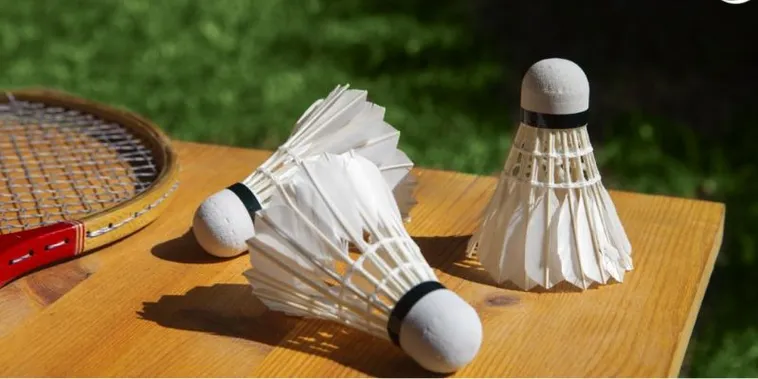 Hướng Dẫn Cách Chơi Cá Cược Cầu Lông Tại Tydo88 Đánh Bại Nhà Cái Dễ Dàng