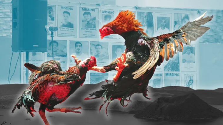 Chinh Phục Cách Chơi Đá Gà Sabong Tại Tydo88 Hiệu Quả Nhất Cho Tân Thủ