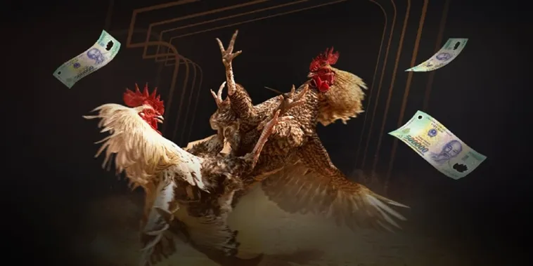 Sân Chơi Đá Gà Tydo88 Đẳng Cấp Xanh Chín Hàng Đầu Châu Á Hiện Nay