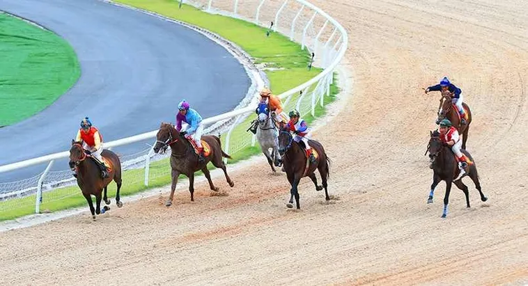 Cá Cược Đua Ngựa Tydo88 Chinh Phục Đường Đua Tốc Độ Thưởng Lớn